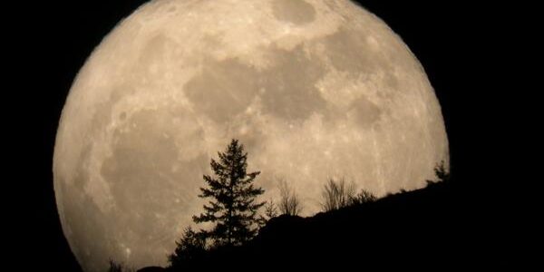 Riesgo de encontrarse a un Hombre Lobo